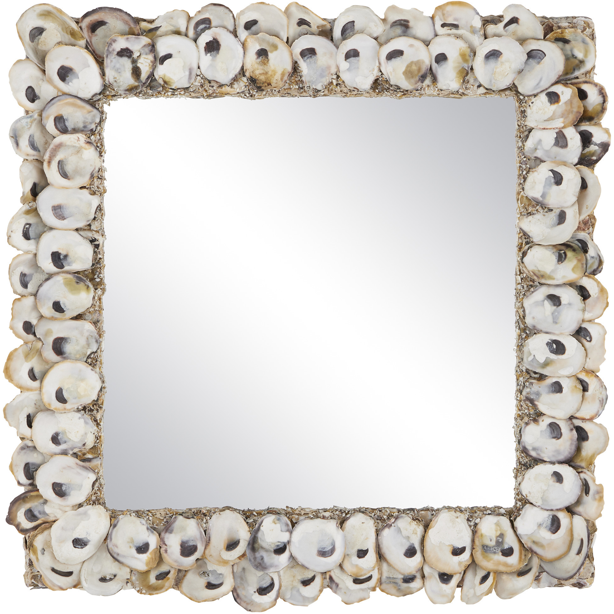 Oyster Shell 20 X 20 inch Natural Wall Mirror